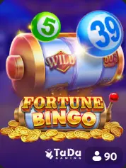 Fortune Bingo TaDa BC Game Gabon game cover