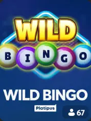 Wild Bingo BC Game Gabon game cover