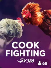 Cock Fighting BC Game Gabon game cover